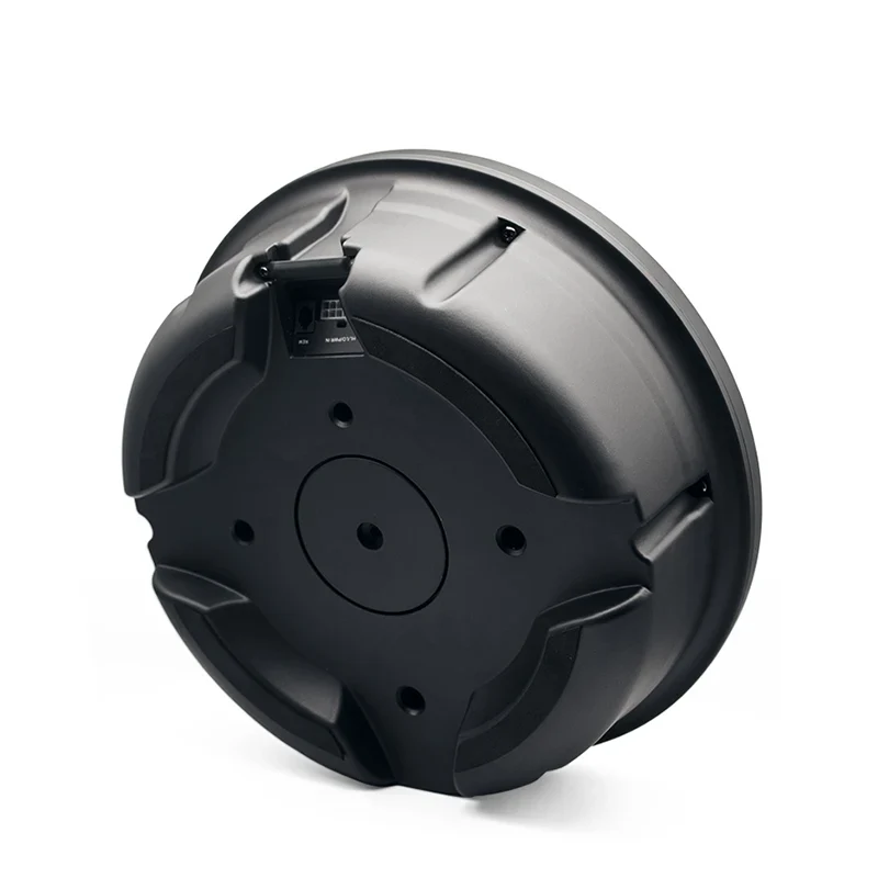 10 Inch Powered Spare Tire Subwoofer